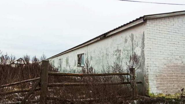 Телятник на 200 голов в аг.Псуя, инв. №5031 (Витебская обл., Глубокский р-н, аг.Псуя)