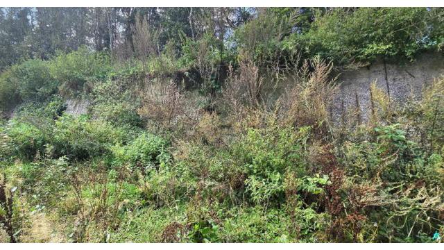 Сенажная траншея (Витебская обл., Докшицкий р-н, Бегомльский с/с, вблизи аг.Замосточье, в конце ул. Октябрьская)