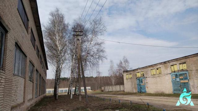 Воздушная линия электропередач №2 протяжен. 83,9 м. (Оршанский р-н, п.Высокое, ул. Новая, 18)