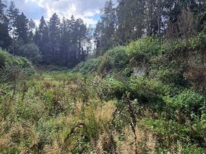 Сенажная траншея (Витебская обл., Докшицкий р-н, Бегомльский с/с, вблизи аг.Замосточье, в конце ул. Октябрьская)