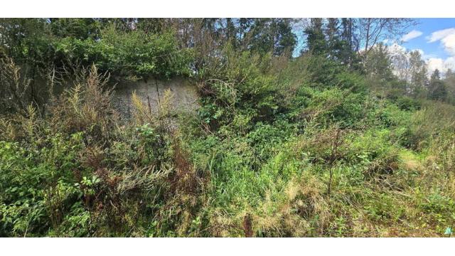 Сенажная траншея (Витебская обл., Докшицкий р-н, Бегомльский с/с, вблизи аг.Замосточье, в конце ул. Октябрьская)