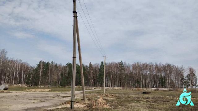 Воздушная линия электропередач №3 протяжен. 269,8 м. (Оршанский р-н, п.Высокое, ул. Новая, 18)