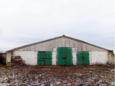 Коровник в аг.Псуя, инв. №16 (Витебская обл., Глубокский р-н, аг.Псуя)
