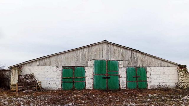 Коровник в аг.Псуя, инв. №16 (Витебская обл., Глубокский р-н, аг.Псуя)